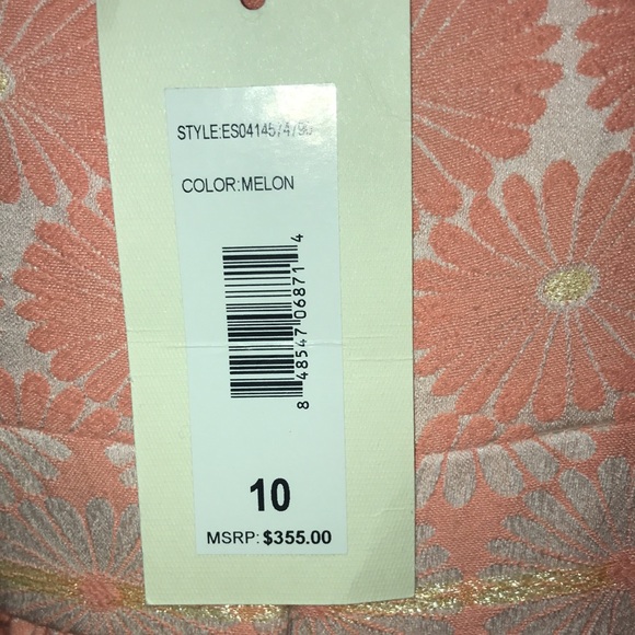 NWT ERIN by Erin Fetherston melon daisy floral flare dress size 10 - Picture 4 of 7